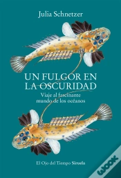Capa do artigo Un Fulgor En La Oscuridad