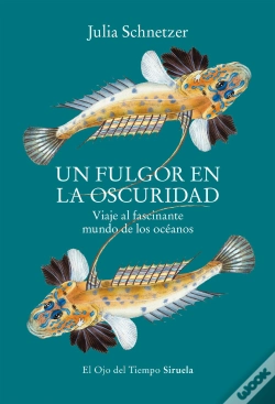 Capa do artigo Un Fulgor En La Oscuridad