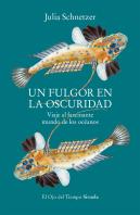 Un Fulgor En La Oscuridad