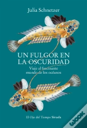 Un Fulgor En La Oscuridad