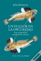 Capa do artigo Un Fulgor En La Oscuridad