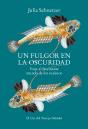 Un Fulgor En La Oscuridad - Preview