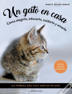 Capa do artigo Un Gato En Casa