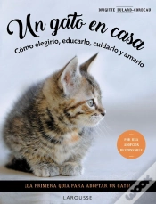 Capa do artigo Un Gato En Casa