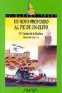 Un Hoyo Profundo Al Pie De Un Olivo - Preview