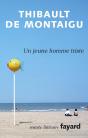 Un Jeune Homme Triste - Preview