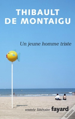 Capa do artigo Un Jeune Homme Triste