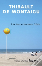 Capa do artigo Un Jeune Homme Triste