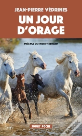 Un Jour D'Orage