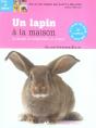 Un Lapin À La Maison - Preview