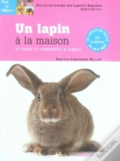 Capa do artigo Un Lapin À La Maison