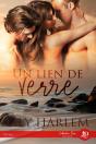 Un Lien De Verre - Preview