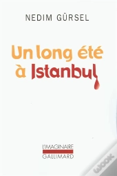 Un Long Été À Istanbul