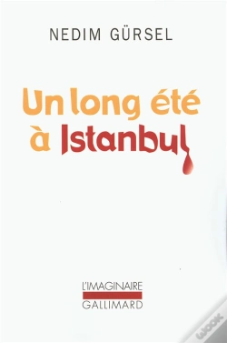 Capa do artigo Un Long Été À Istanbul