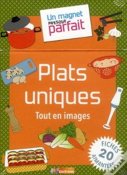 Capa do artigo Un Magnet Presque Parfait Plats Uniques