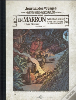 Capa do artigo Un Marron T.2 ; Louise