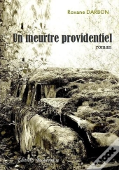 Un Meurtre Providentiel