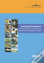 Un Millennium Development Library: Investing In Development