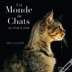 Capa do artigo Un Monde De Chats ; Au Jour Le Jour