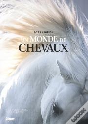 Un Monde De Chevaux