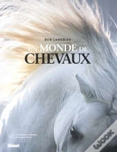 Un Monde De Chevaux