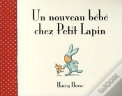 Capa do artigo Un Nouveau Bébé Chez Petit Lapin