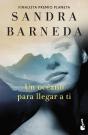 Un Oceano Para Llegar A Ti - Preview