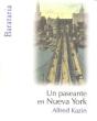 Un Paseante En Nueva York - Preview