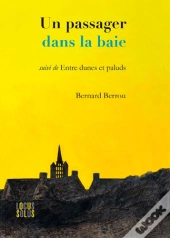 Un Passager Dans La Baie ; Entre Dunes Et Paluds