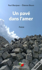 Capa do artigo Un Pavé Dans L