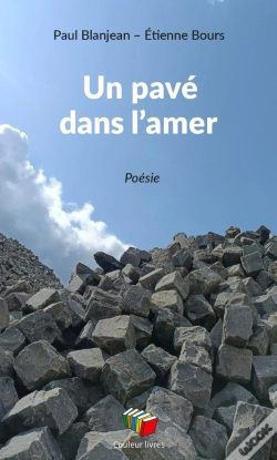 Capa do artigo Un Pavé Dans L'Amer