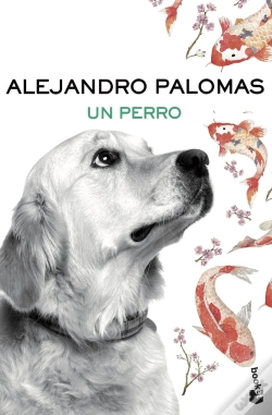 Capa do artigo Un Perro