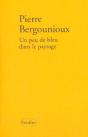 Un Peu De Bleu Dans Le Paysage - Preview