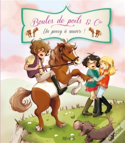 Capa do artigo Un Poney A Sauver !