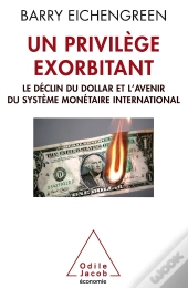 Un Privilège Exorbitant ; Le Déclin Du Dollar Et L'Avenir Du Système Monétaire International