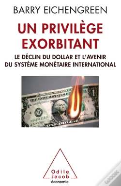 Capa do artigo Un Privilège Exorbitant ; Le Déclin Du Dollar Et L'Avenir Du Système Monétaire International