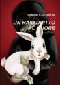 Un Raid Dritto Al Cuore - Preview