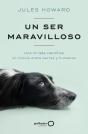 Un Ser Maravilloso - Preview
