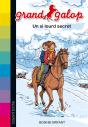 Un Si Lourd Secret - N620 - Preview