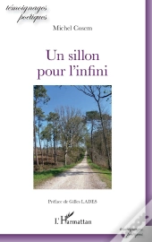 Un Sillon Pour L'Infini