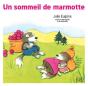 Un Sommeil De Marmotte - Preview