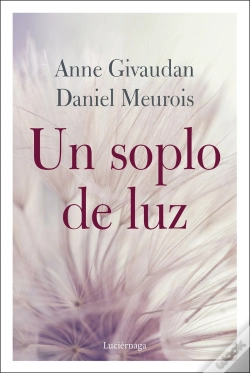 Capa do artigo Un Soplo De Luz
