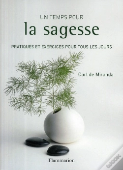Capa do artigo Un Temps Pour La Sagesse ; Pratiques Et Exercices Pour Tous Les Jours
