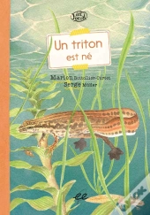 Un Triton Est Né