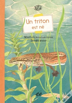 Capa do artigo Un Triton Est Né