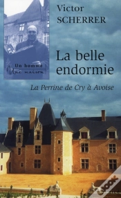 Capa do artigo Un Village Et Son Manoir