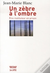 Un Zèbre À L'Ombre ; Être Instituteur En Prison