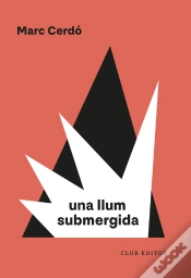 Capa do artigo Una Llum Submergida