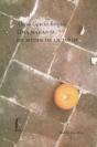 Una Naranja En Medio De La Tarde   - Preview