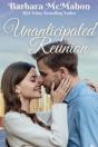 Unanticipated Reunion - Preview